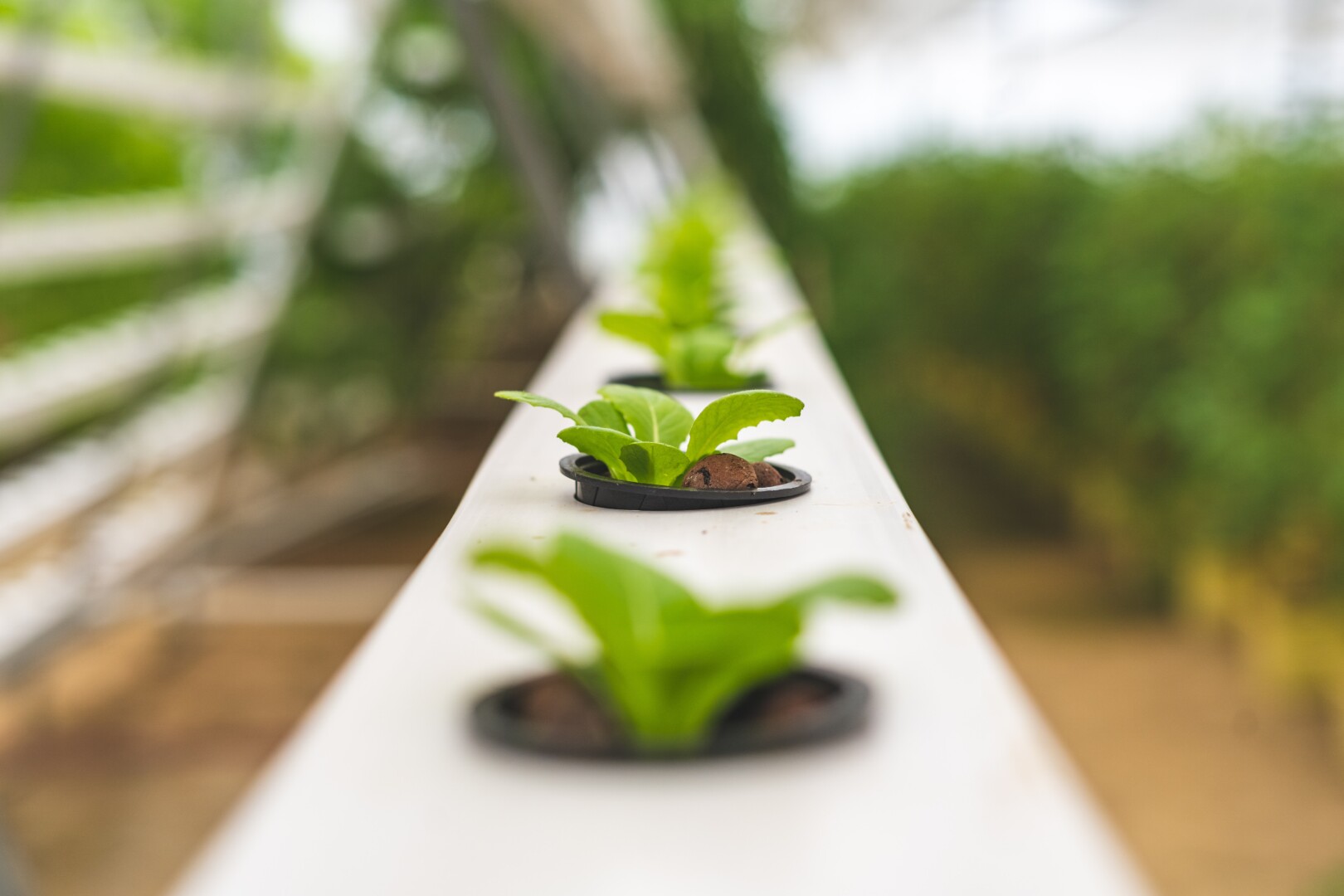 M Glichkeiten Einen Hydroponischen Garten Anzulegen