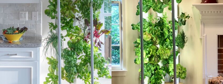 Tower garden zuhause