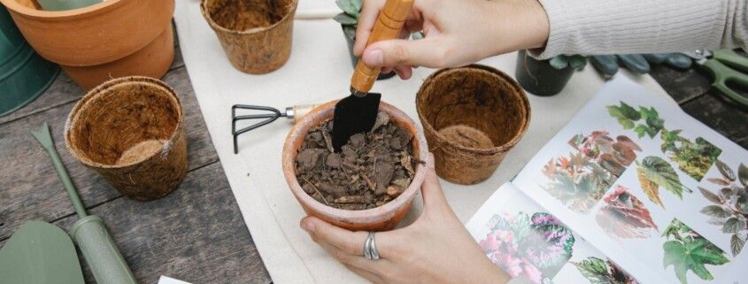 Indoor Kräutergarten in der Küche