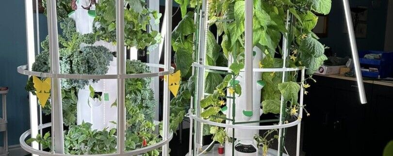 Ist der Towergarden sein geld wert?